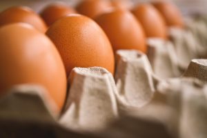 Conserver des aliments sans électricité pendant plusieurs