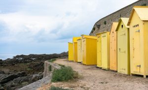 Organiser la rotation des cultures sur une petite parcelle