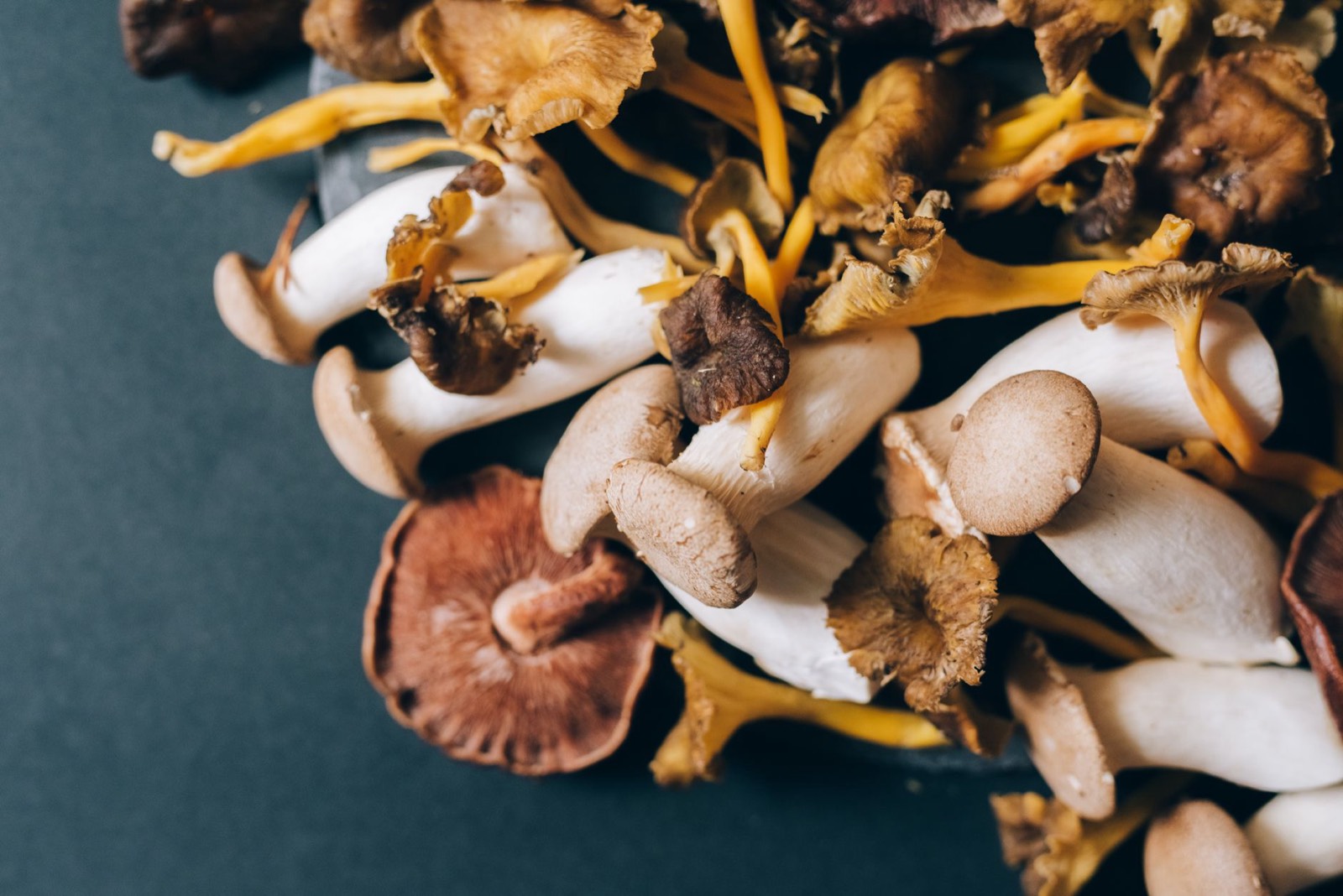 Balance de cuisine et pot de champignons séchés pour préparer une boisson adaptogène