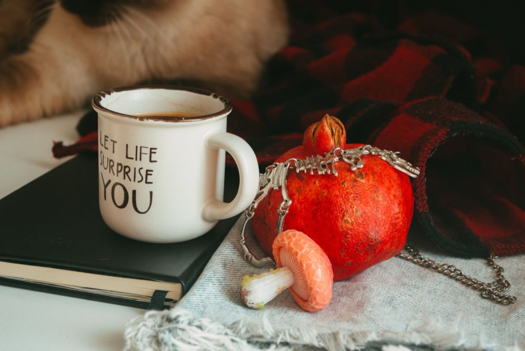 Café aux champignons adaptogènes : comment le préparer sans se tromper