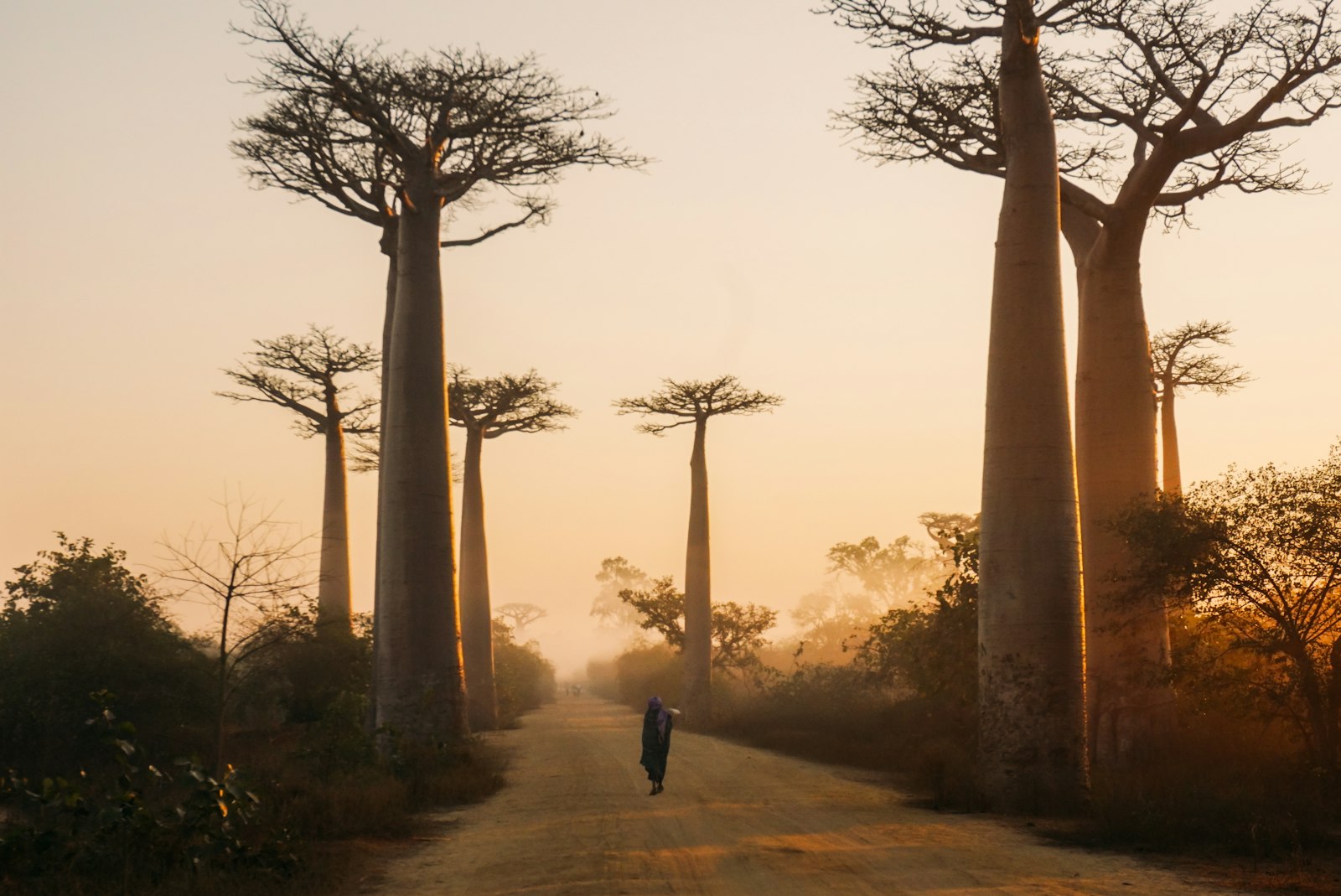 Depuis l'APE, Madagascar face aux défis du marché européen