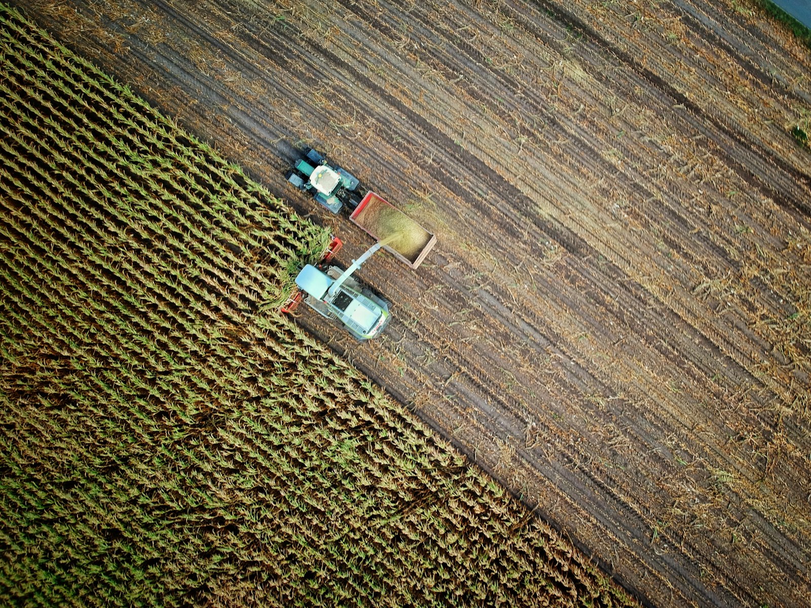 El Niño : un bouleversement climatique qui menace Madagascar