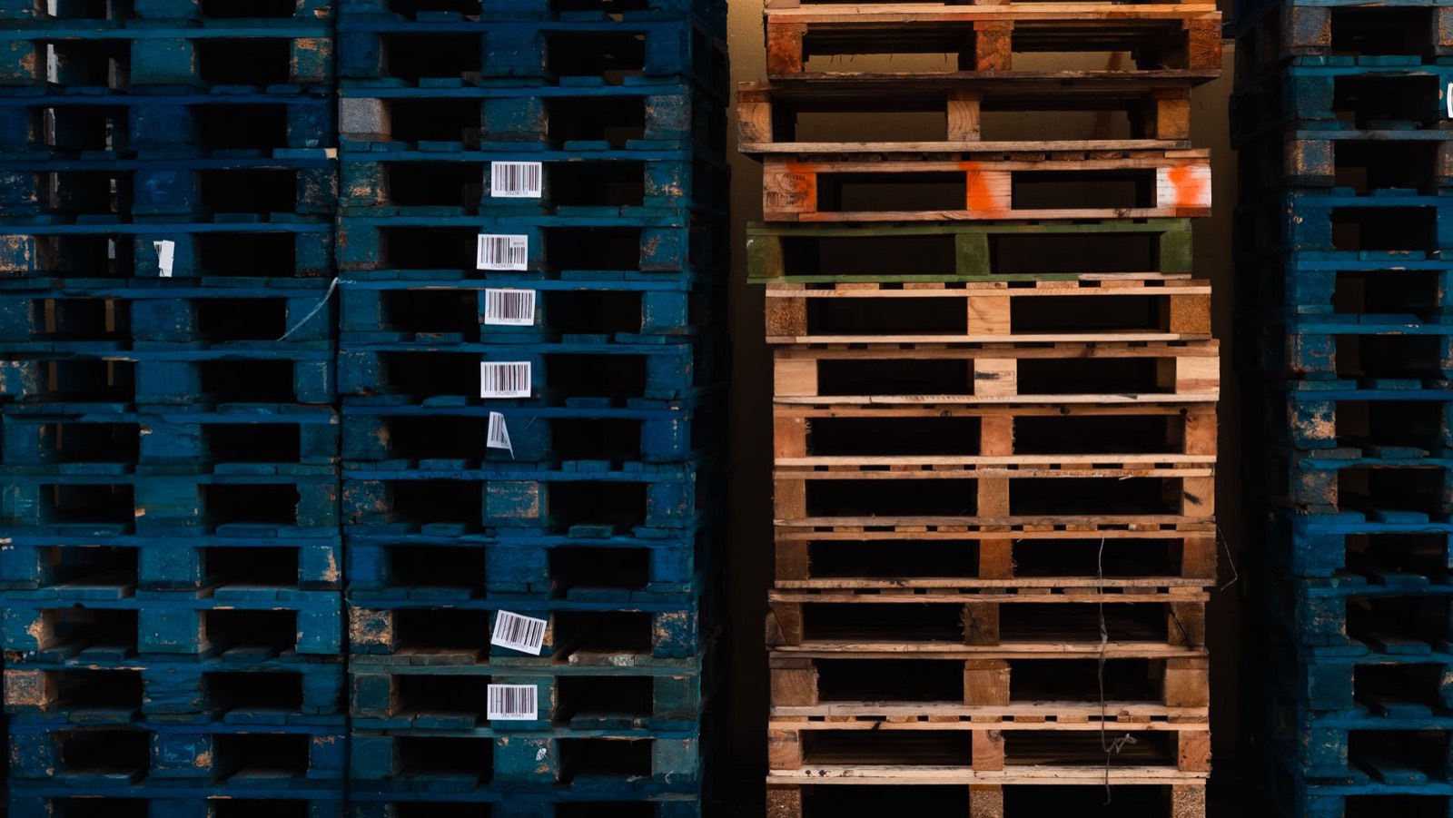 Palettes de marchandises contrôlées dans un entrepôt portuaire après déchargement