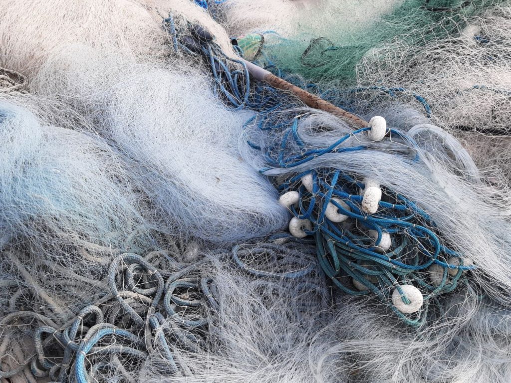 Fermeture de la filière crabe à Madagascar : Une tempête dans l&rsquo;océan des revenus des pêcheurs