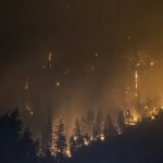 Incendies et trafic : Madagascar face à une crise environnementale sans précédent