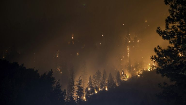 Incendies et trafic : Madagascar face à une crise environnementale sans précédent
