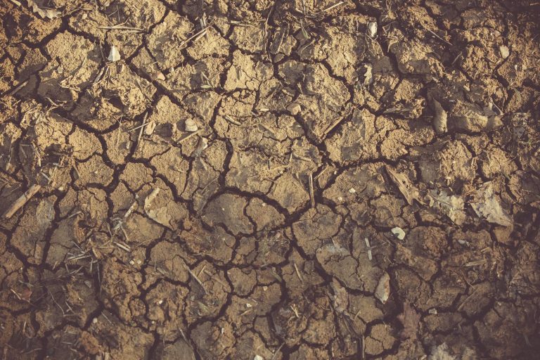 El Niño : une menace imminente pour la sécurité alimentaire à Madagascar