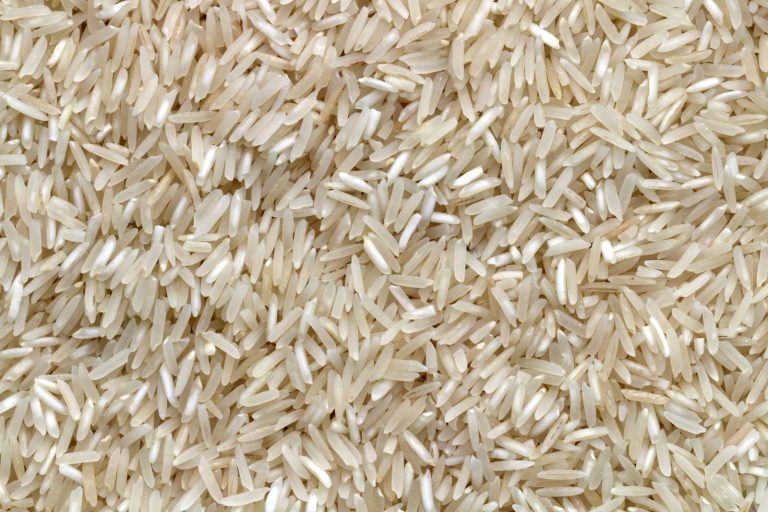 Riz à Madagascar : Pourquoi la hausse des prix menace le quotidien des familles ?