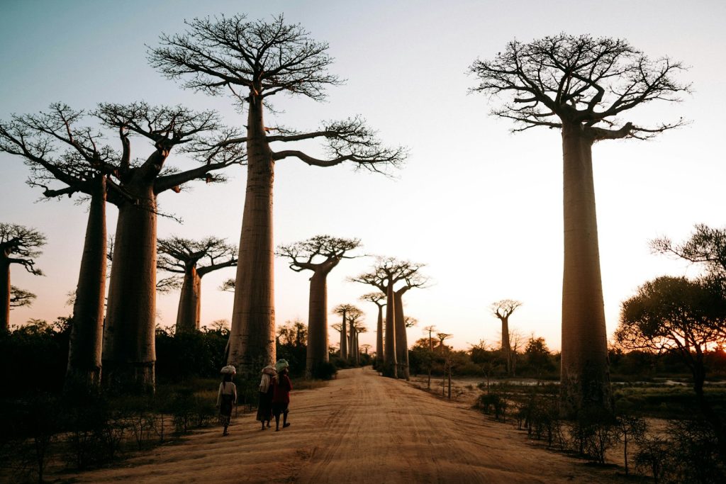 Pourquoi les téléphones à Madagascar coûtent-ils si cher ? Les raisons expliquées